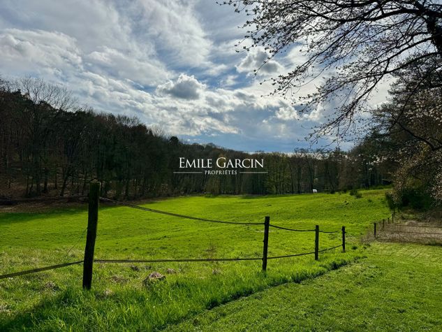 House on an equestrian property for sale in Lasne - Emile Garcin Belgique - Image 8