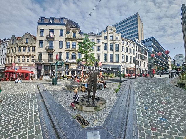 Appartement  - A vendre - Bruxelles - Emile Garcin Belgique - Image 5