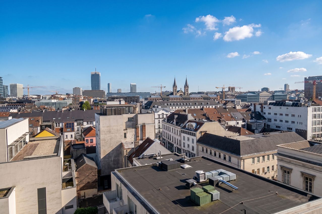 Appartement  à louer Bruxelles  quartier Dansaert-Sainte-Catherine - Emile Garcin Belgique - Image 11